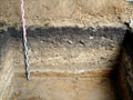 wycena badań archeologicznych